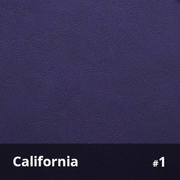 California 1